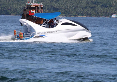 Glass-Bottom Boat