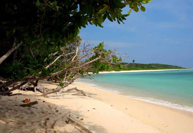 Backpacker Circuit