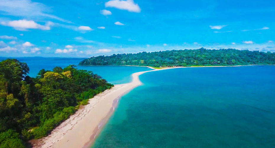 Saddle Peak rainforest, North Andaman