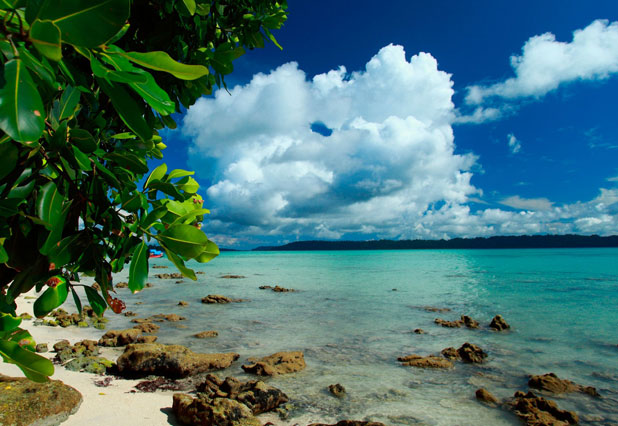 LTC Complete Andaman