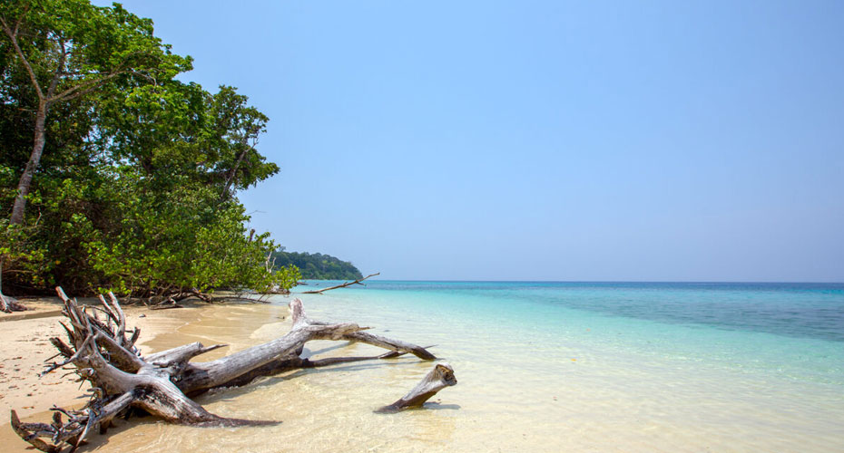 Radhanagar Beach
