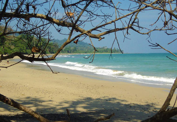 Andaman LTC Saver