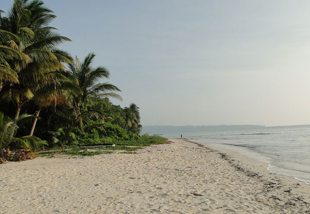 Andaman LTC Saver