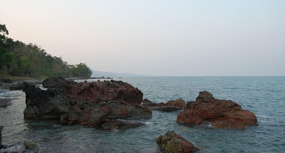 Dhani Nallah Mangrove Walkway, Middle Andaman